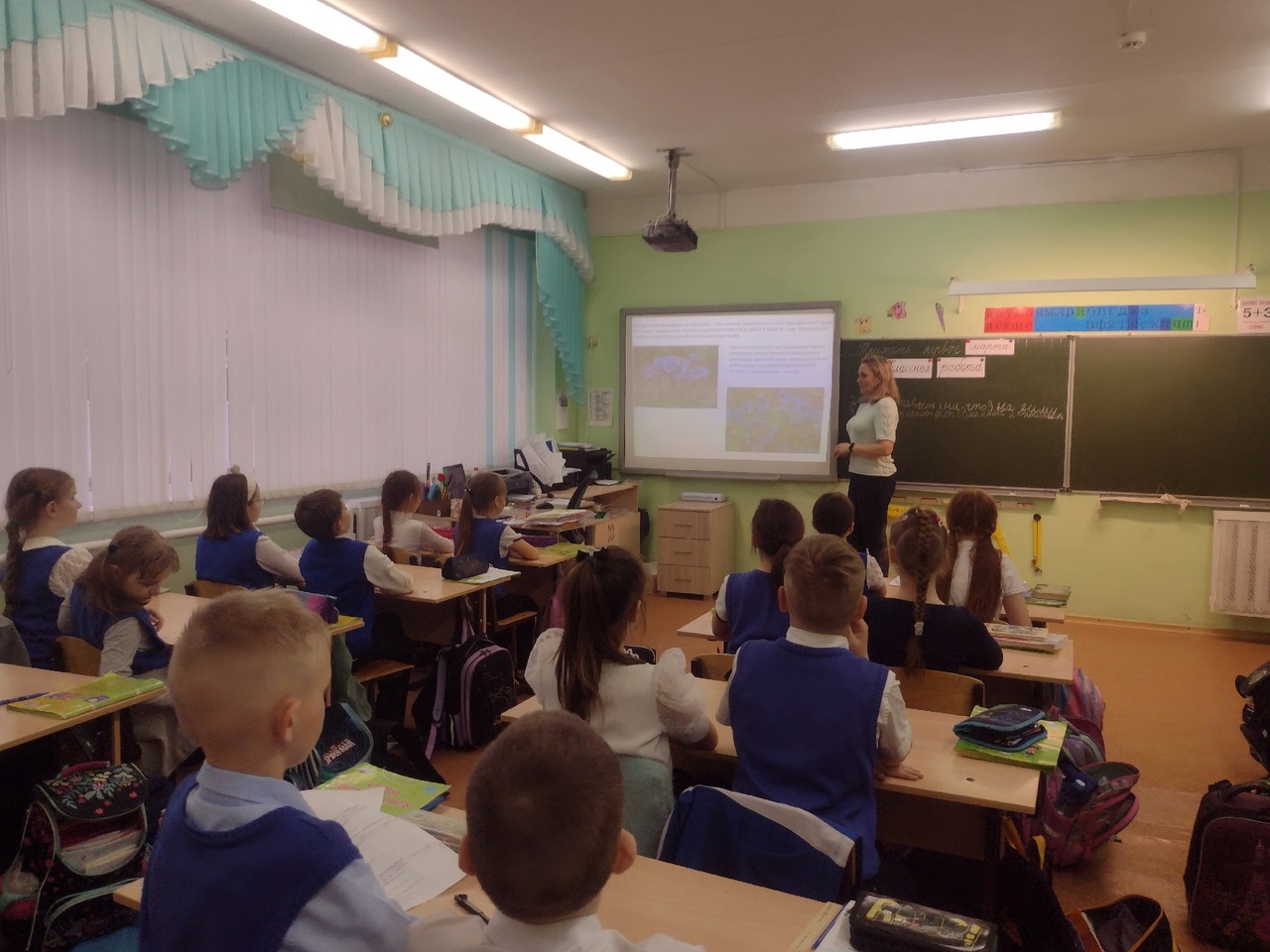 Акция ПЕРВОЦВЕТЫ